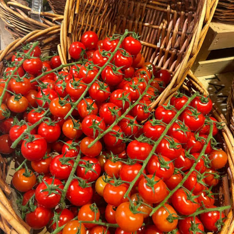 Panier Tomates Fraîches — Banabana Agro Sénégal